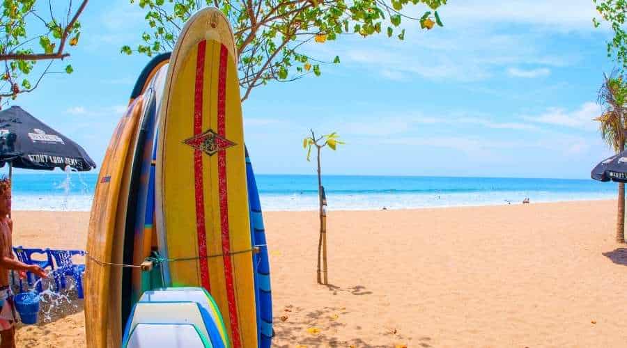 Learn To Learn To WOLO Travel